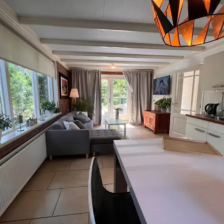 בקתה Great Holidayhouse With Private Outdoor Jacuzzi On Dutch Veluwe Recommended *